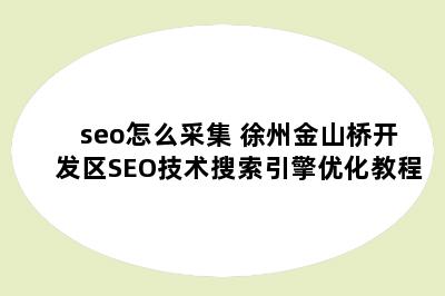 seo怎么采集 徐州金山桥开发区SEO技术搜索引擎优化教程